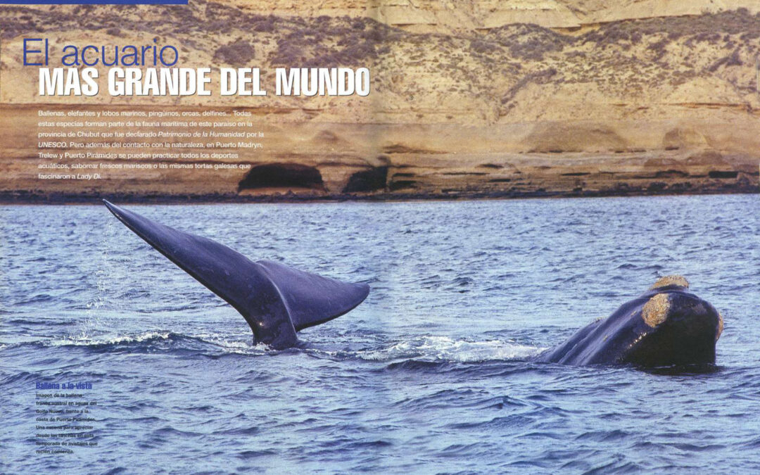 El acuario más grande del mundo